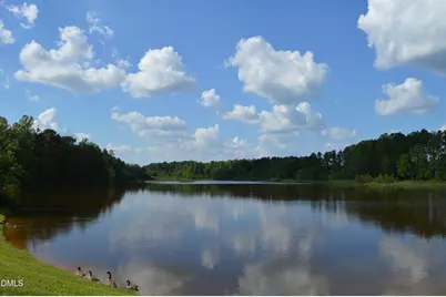 523 Catfish Lake Drive, Fuquay-Varina, NC 27526 - Photo 52