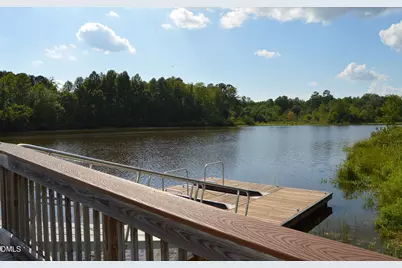 523 Catfish Lake Drive, Fuquay Varina, NC 27526 - Photo 52
