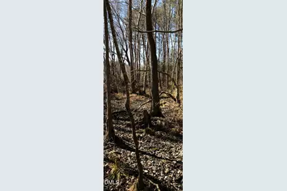 0 Cone Road, Middlesex, NC 27557 - Photo 14