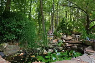 6014 Old Field Dr, Chapel Hill, NC 27514 - Photo 82