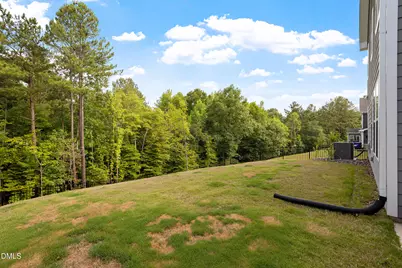 2158 Pink Peony Circle, Durham, NC 27703 - Photo 4