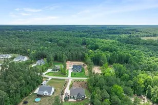 270 Whistlers Cv, Louisburg, NC 27549 - Photo 58