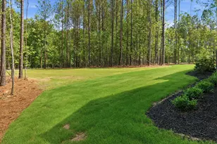 80 Spanish Oak Dr, Youngsville, NC 27596 - Photo 44