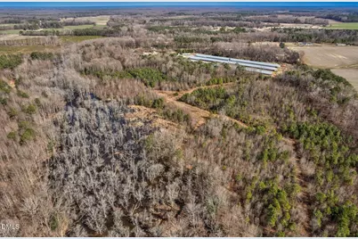 000 Ethridge Road, Whitakers, NC 27891 - Photo 6