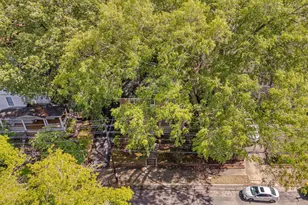 513 Cleveland St, Raleigh, NC 27605 - Photo 8