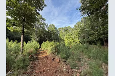 Lot 1 Orange Grv Street, Hillsborough, NC 27278 - Photo 2