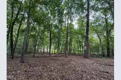 Lot 1 Orange Grv Street, Hillsborough, NC 27278 - Photo 8