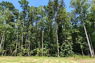 1730 Alpine Summer Ln, Apex, NC 27502 - Photo 34