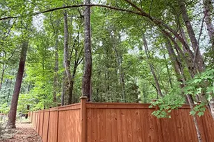 68 Mystic Ln, Pittsboro, NC 27312 - Photo 74
