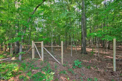 68 Mystic Lane, Pittsboro, NC 27312 - Photo 72