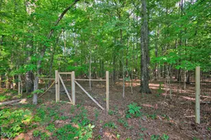 68 Mystic Ln, Pittsboro, NC 27312 - Photo 72