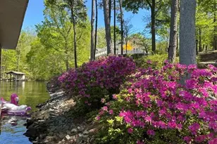 118 Silverado Trail, Semora, NC 27343 - Photo 66