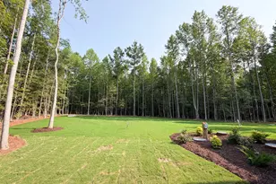 2453 Rosslare Mews Ln, Wendell, NC 27591 - Photo 36