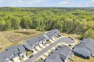 43 Balfour Run, Chapel Hill, NC 27516 - Photo 4
