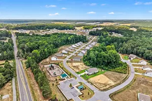 358 Coleshill Rd, Angier, NC 27501 - Photo 28