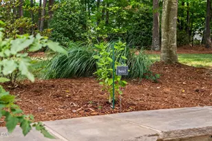 3909 Elmswick Ct, Apex, NC 27539 - Photo 58