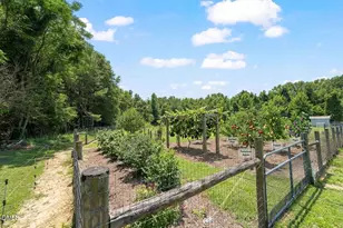 842 Campground Rd, Selma, NC 27576 - Photo 8
