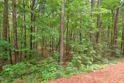 0000 Dodsons Crossroads, Hillsborough, NC 27278 - Photo 8