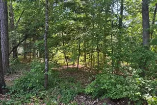 0 Irish Blvd, Sanford, NC 27332 - Photo 1