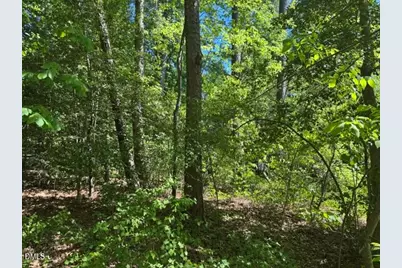 0 Irish Boulevard, Sanford, NC 27332 - Photo 4