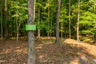 30 Park Meadow Ln, Youngsville, NC 27596 - Photo 54
