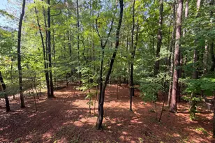 203 Laurie Ln, Cary, NC 27513 - Photo 16