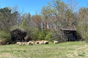 344 J B Leonard Rd, Castalia, NC 27816 - Photo 74
