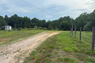344 J B Leonard Rd, Castalia, NC 27816 - Photo 62