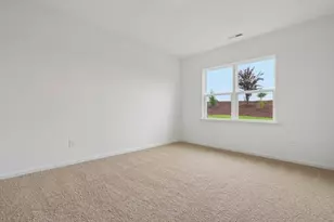 717 Sparkling Pear Dr, Willow Springs, NC 27592 - Photo 22