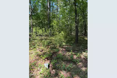 153 Omaha Drive, Louisburg, NC 27549 - Photo 2