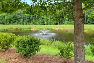 100 Chenette Ct, Cary, NC 27519 - Photo 40