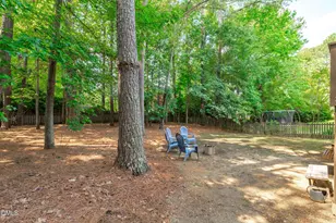 102 Stenness Ct, Apex, NC 27502 - Photo 40