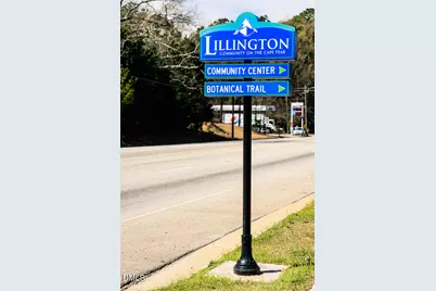 82 Seagrass Landing, Lillington, NC 27546 - Photo 26