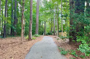 106 Birkhaven Dr, Cary, NC 27518 - Photo 100
