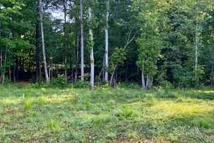 31 Izuba Day Dr, Timberlake, NC 27583 - Photo 22