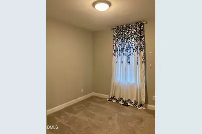 31 Izuba Day Drive, Timberlake, NC 27583 - Photo 6