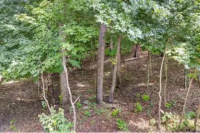 4750 Black Mountain Path, Raleigh, NC 27612 - Photo 48