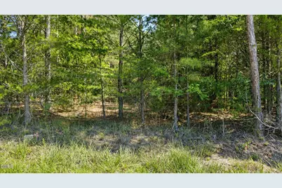 0 Weldon Painter Road, Timberlake, NC 27583 - Photo 6