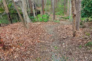 205 N Park Bluff Dr, Chapel Hill, NC 27517 - Photo 82