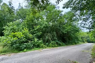 50Ft Cleveland St, Henderson, NC 27536 - Photo 1