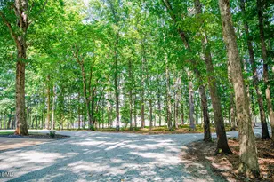 194 Robert Whitfield Rd, Hurdle Mills, NC 27541 - Photo 46