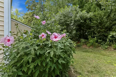 228 Harbor Haven Drive, Apex, NC 27502 - Photo 32