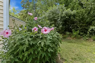 228 Harbor Haven Dr, Apex, NC 27502 - Photo 32