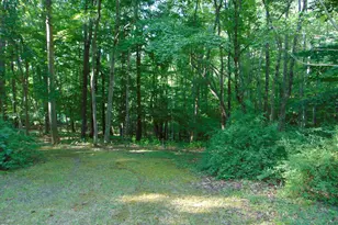 694 Country Ln, Pelham, NC 27311 - Photo 6