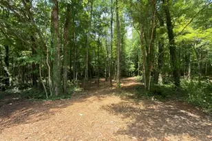 602 W Main St, Gibsonville, NC 27249 - Photo 1
