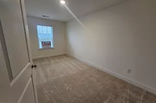 48 Bloodroot St, Angier, NC 27501 - Photo 18