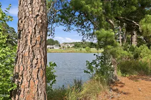 124 Cherry Blossom Ct, Garner, NC 27529 - Photo 38