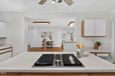 310 E Alton Street, Durham, NC 27707 - Photo 18