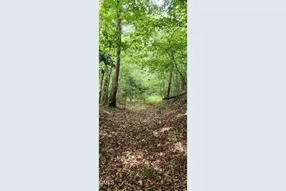 0 Helena Moriah Road, Timberlake, NC 27583 - Photo 2