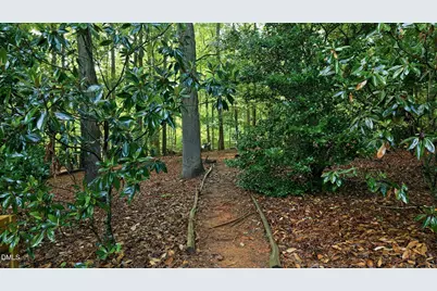 1004 Woodlot Ridge Road, Chapel Hill, NC 27516 - Photo 46